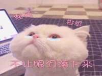丹阳市阿平电子商务有限公司