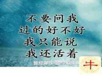 丹阳市阿平电子商务有限公司