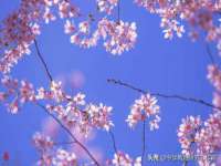 丹阳市阿平电子商务有限公司