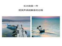 丹阳市阿平电子商务有限公司
