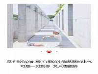 丹阳市阿平电子商务有限公司