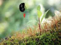 丹阳市阿平电子商务有限公司