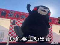 丹阳市阿平电子商务有限公司