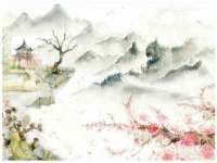 丹阳市阿平电子商务有限公司
