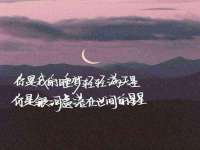 丹阳市阿平电子商务有限公司
