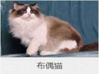 丹阳市阿平电子商务有限公司