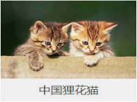 丹阳市阿平电子商务有限公司