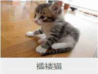 丹阳市阿平电子商务有限公司