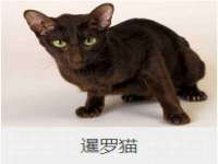 丹阳市阿平电子商务有限公司