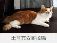 丹阳市阿平电子商务有限公司