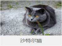 丹阳市阿平电子商务有限公司