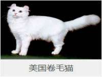 丹阳市阿平电子商务有限公司
