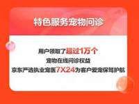 丹阳市阿平电子商务有限公司