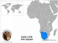丹阳市阿平电子商务有限公司