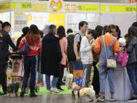 丹阳市阿平电子商务有限公司