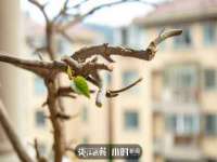丹阳市阿平电子商务有限公司