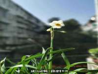 丹阳市阿平电子商务有限公司