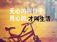 丹阳市阿平电子商务有限公司