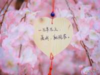 丹阳市阿平电子商务有限公司