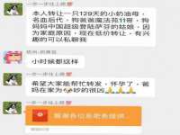 丹阳市阿平电子商务有限公司