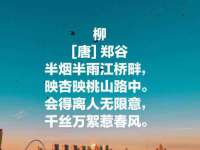 丹阳市阿平电子商务有限公司