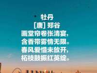 丹阳市阿平电子商务有限公司
