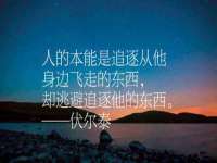 丹阳市阿平电子商务有限公司