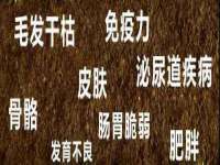 丹阳市阿平电子商务有限公司