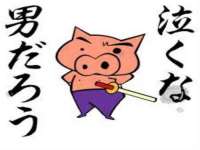 丹阳市阿平电子商务有限公司