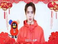 丹阳市阿平电子商务有限公司