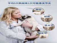 丹阳市阿平电子商务有限公司