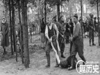 丹阳市阿平电子商务有限公司