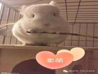 丹阳市阿平电子商务有限公司