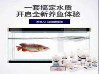 丹阳市阿平电子商务有限公司