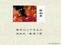 丹阳市阿平电子商务有限公司