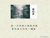 丹阳市阿平电子商务有限公司
