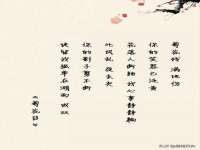 丹阳市阿平电子商务有限公司