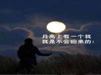 丹阳市阿平电子商务有限公司