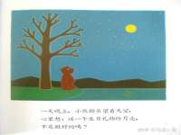 丹阳市阿平电子商务有限公司