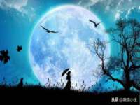 丹阳市阿平电子商务有限公司