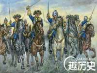丹阳市阿平电子商务有限公司