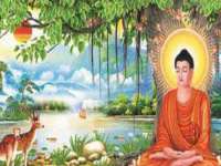 丹阳市阿平电子商务有限公司