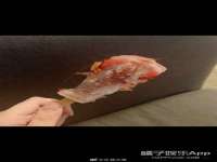 丹阳市阿平电子商务有限公司